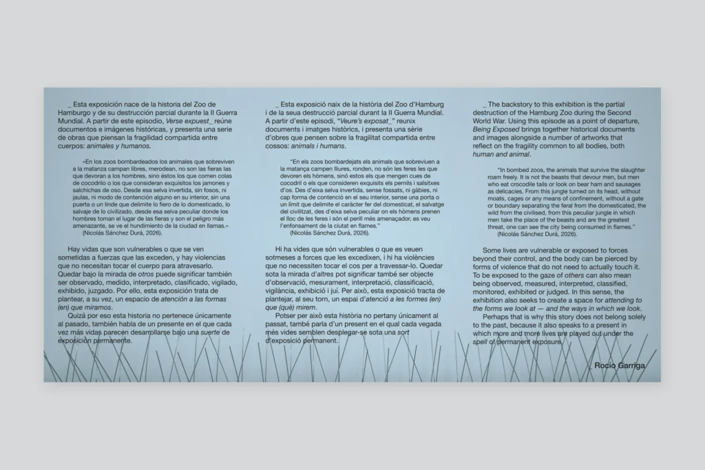 Cara exterior del tríptico de Verse expuest_ con portada y listado de obras, diseñado por Creatias Estudio